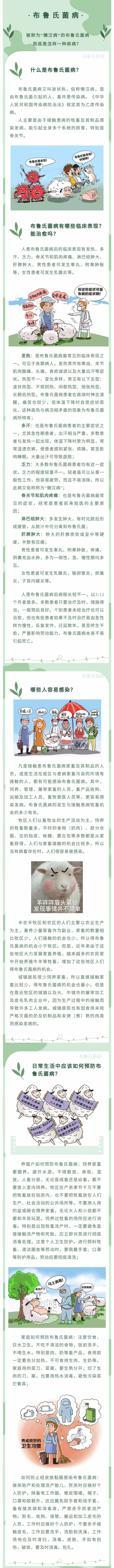 被稱為“懶漢病”的布魯氏菌病，到底是怎樣一種疾病？-1.jpg